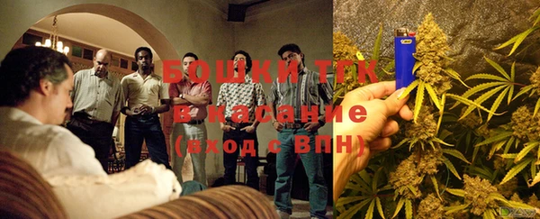 бошки Аркадак