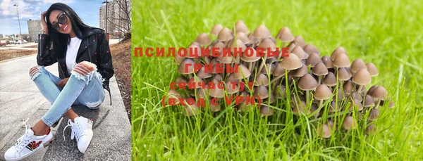 бошки Аркадак