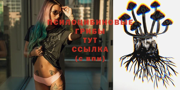 бошки Аркадак